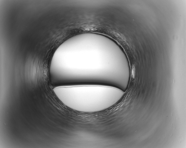 X0000093601444200710150949