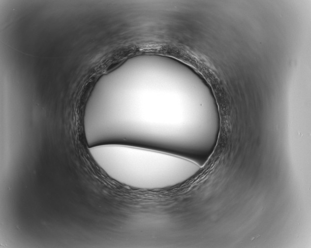 X0000093601445200710150949