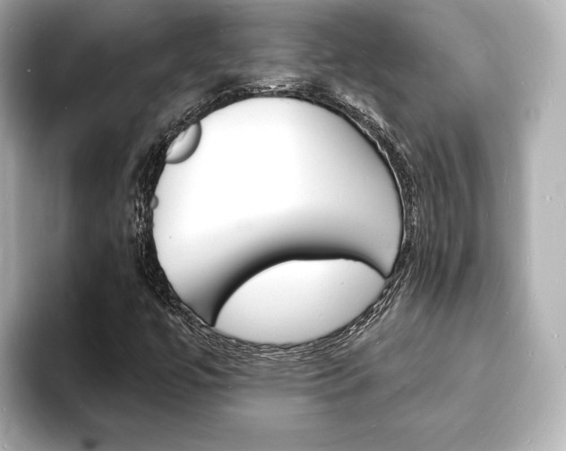 X0000093601447200710150949