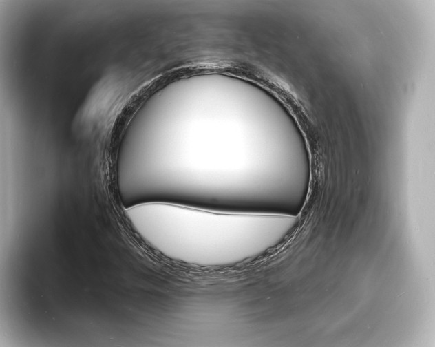 X0000093601448200710150949
