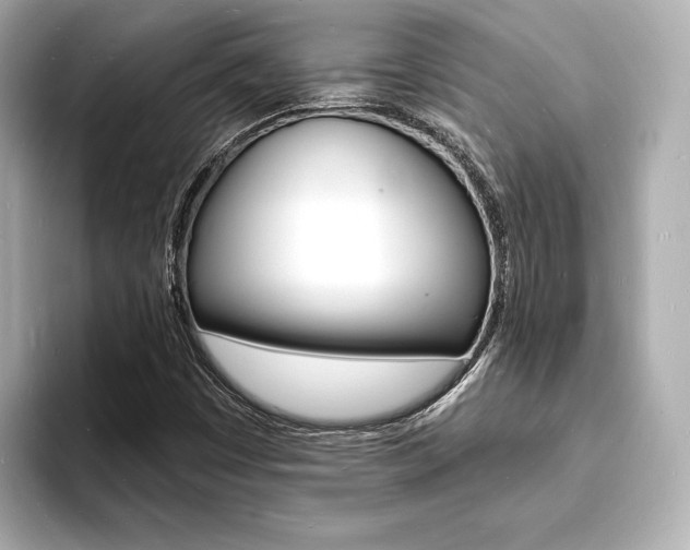 X0000093601449200710150949