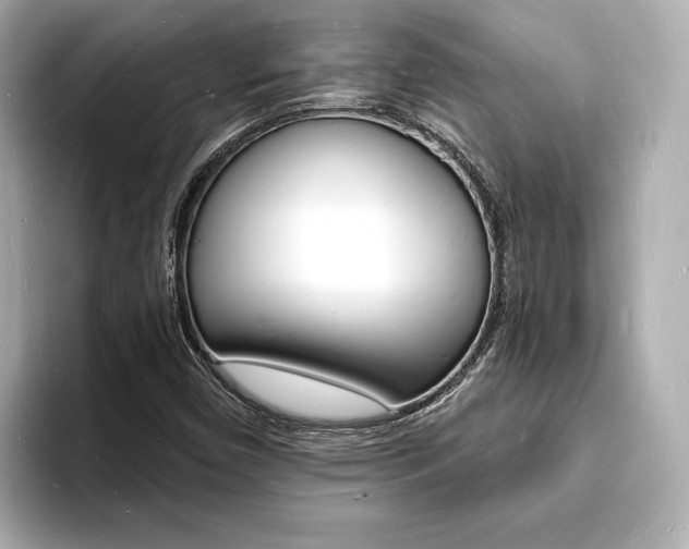 X0000093601450200710150949
