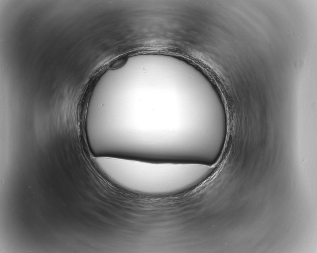 X0000093601451200710150949