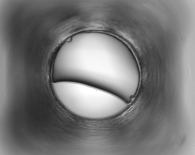 X0000093601455200710150949