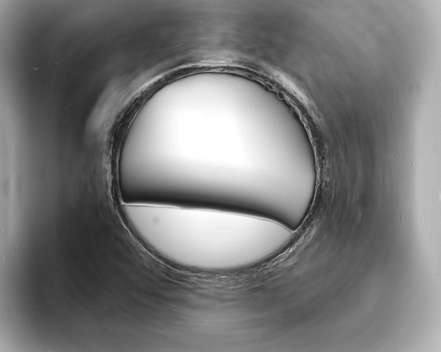 X0000093601456200710150949