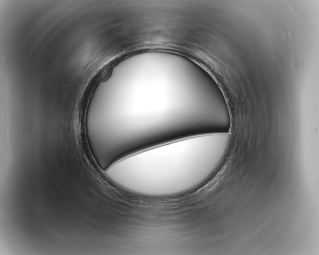 X0000093601458200710150949