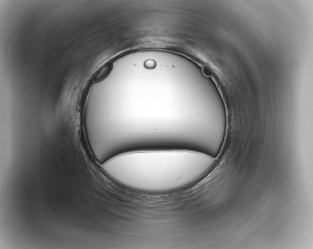 X0000093601459200710150949