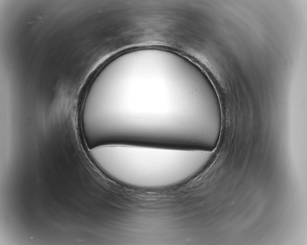 X0000093601460200710150949