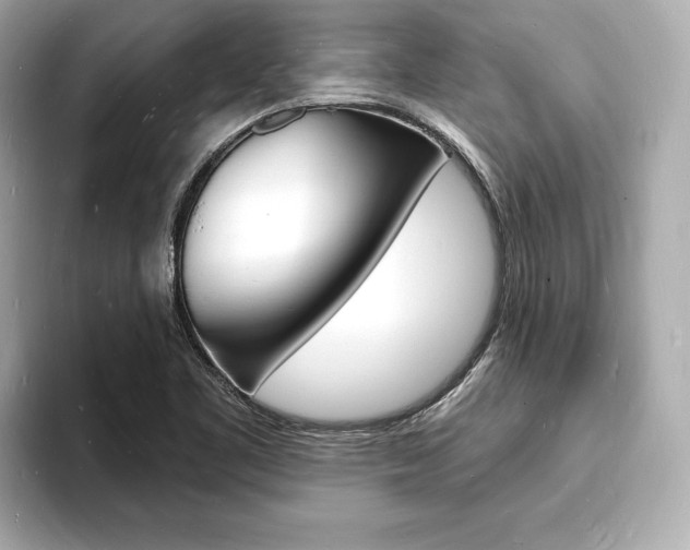 X0000093601461200710150949