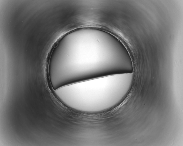 X0000093601463200710150949