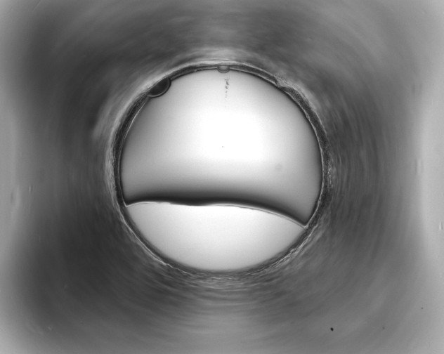 X0000093601464200710150949