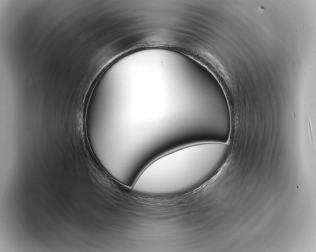 X0000093601465200710150949