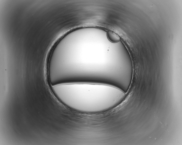 X0000093601469200710150949
