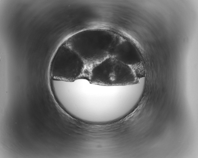 X0000093601471200710150948