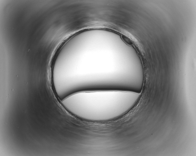 X0000093601472200710150948