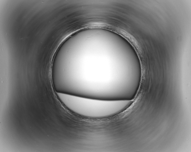 X0000093601473200710150948