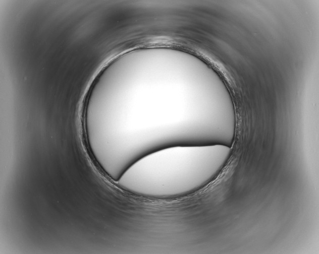 X0000093601475200710150948