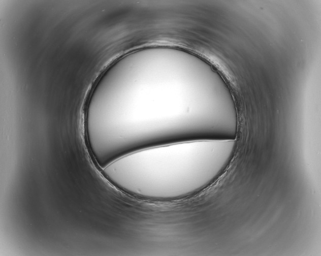 X0000093601476200710150948