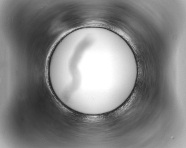X0000093601478200710150948