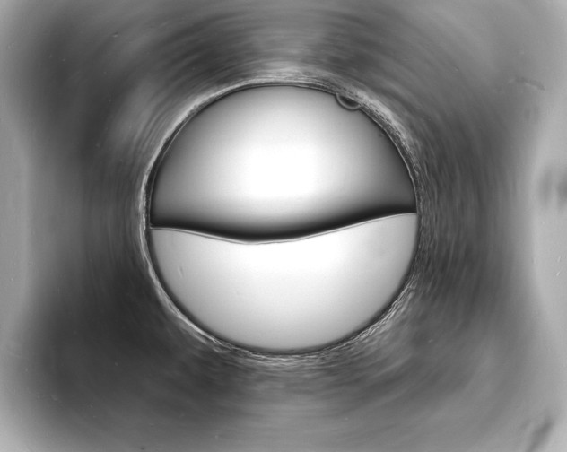 X0000093601479200710150948