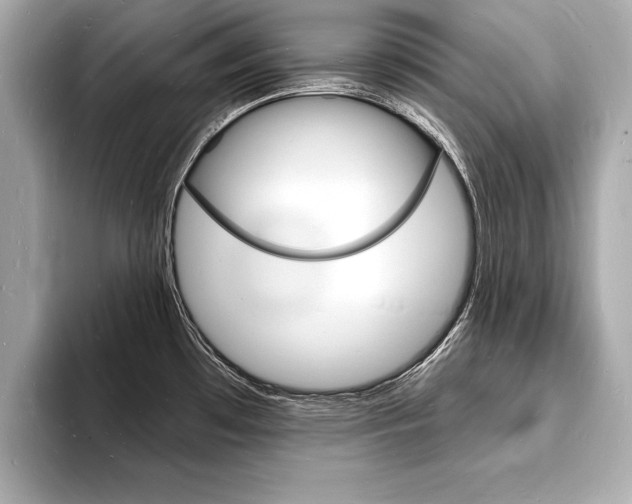 X0000093601481200710150948
