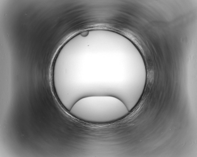 X0000093601482200710150948