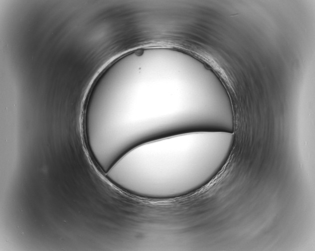 X0000093601484200710150948
