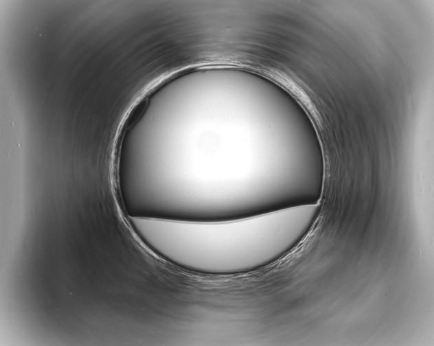 X0000093601485200710150948