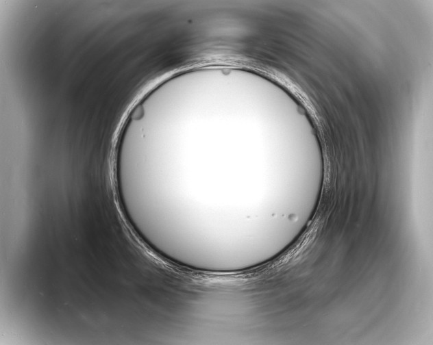 X0000093601486200710150948