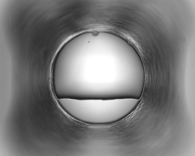 X0000093601487200710150948