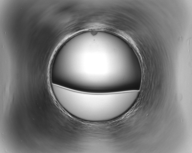 X0000093601488200710150948