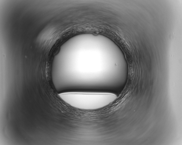 X0000093601490200710150948