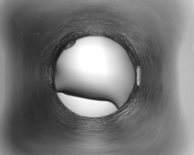 X0000093601491200710150948