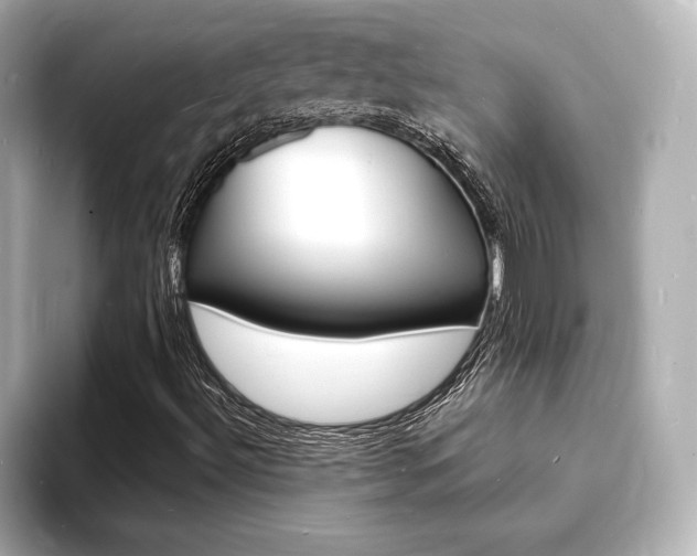 X0000093601492200710150948
