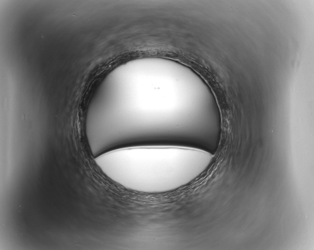 X0000093601493200710150948