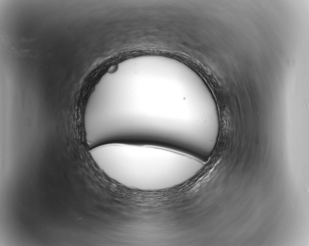 X0000093601494200710150948