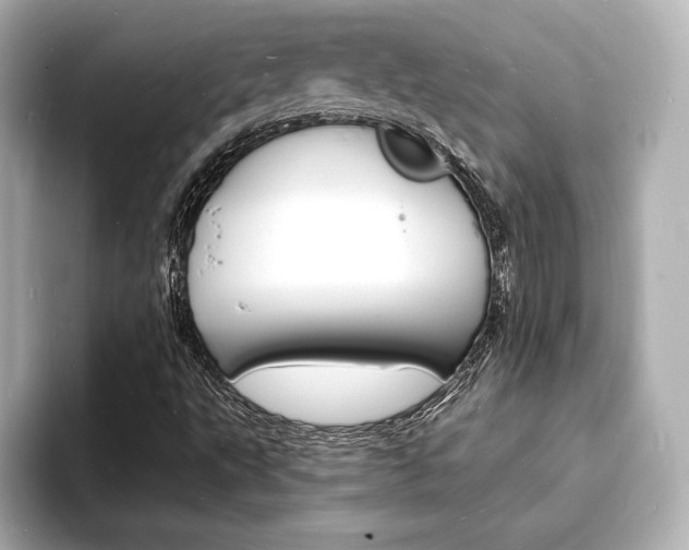 X0000093601495200710150948