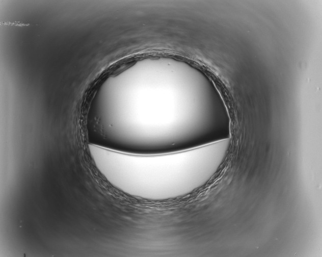 X0000093601496200710150948