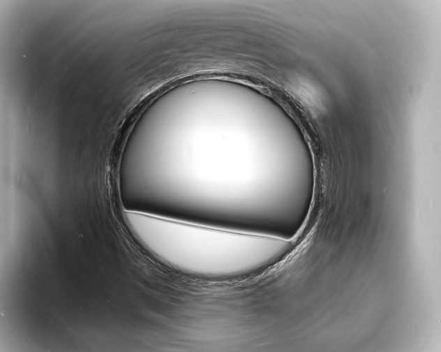 X0000093601497200710150948