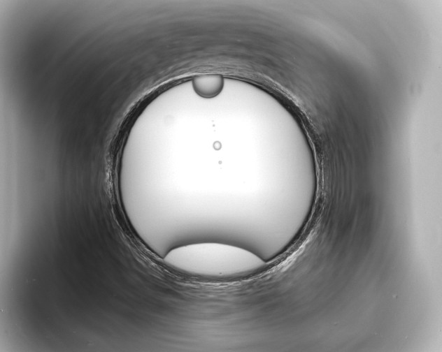 X0000093601498200710150948