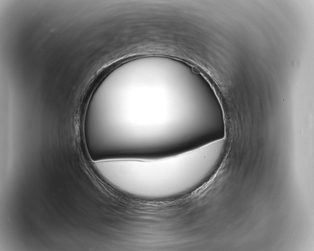 X0000093601499200710150948