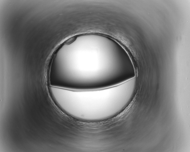 X0000093601500200710150948