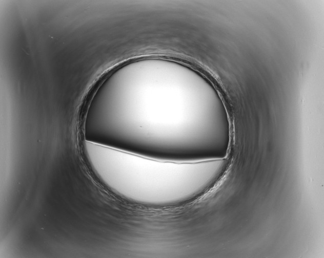 X0000093601501200710150948