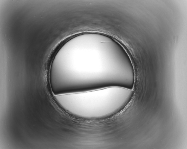 X0000093601503200710150948