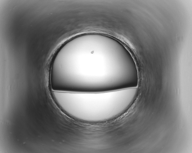 X0000093601504200710150948