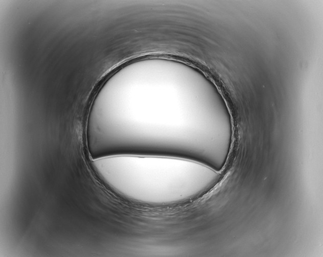 X0000093601505200710150948
