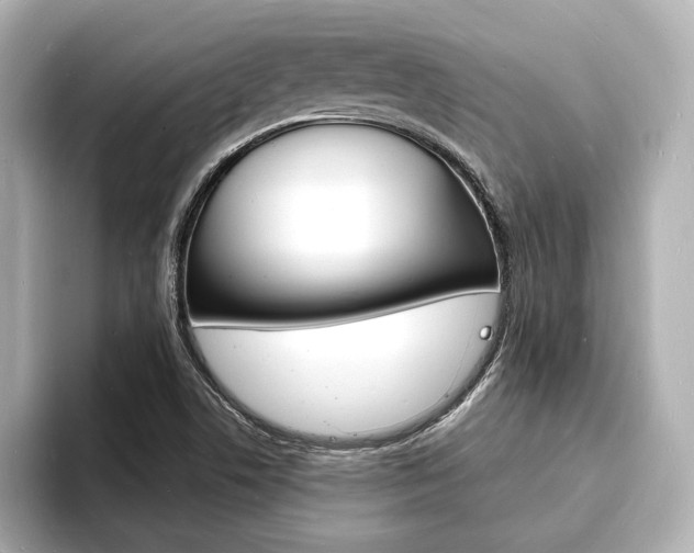 X0000093601506200710150948