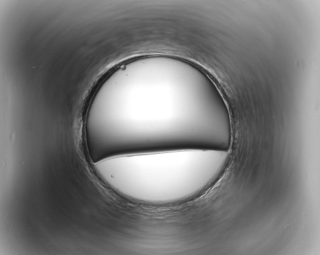 X0000093601507200710150948
