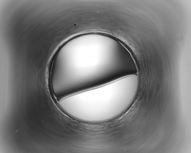 X0000093601508200710150948