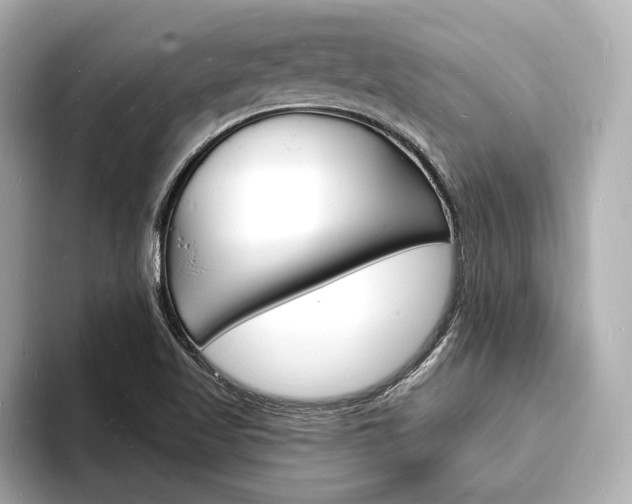X0000093601509200710150948